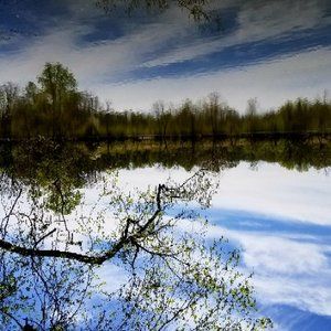 Meet your Posher, Marc